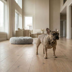 The CloudBed™ Anti-Anxiety Dog Soother
