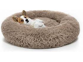The CloudBed™ Plush Donut Dog Bed for Ultimate Comfort & Calm